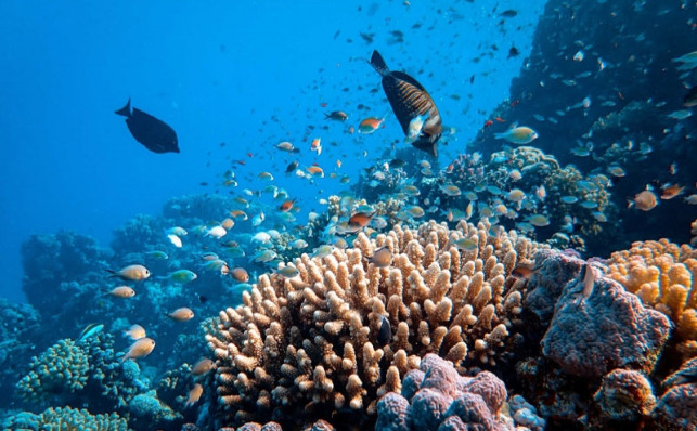 11 REASONS TO VISIT THE MALDIVES RIGHT NOW
